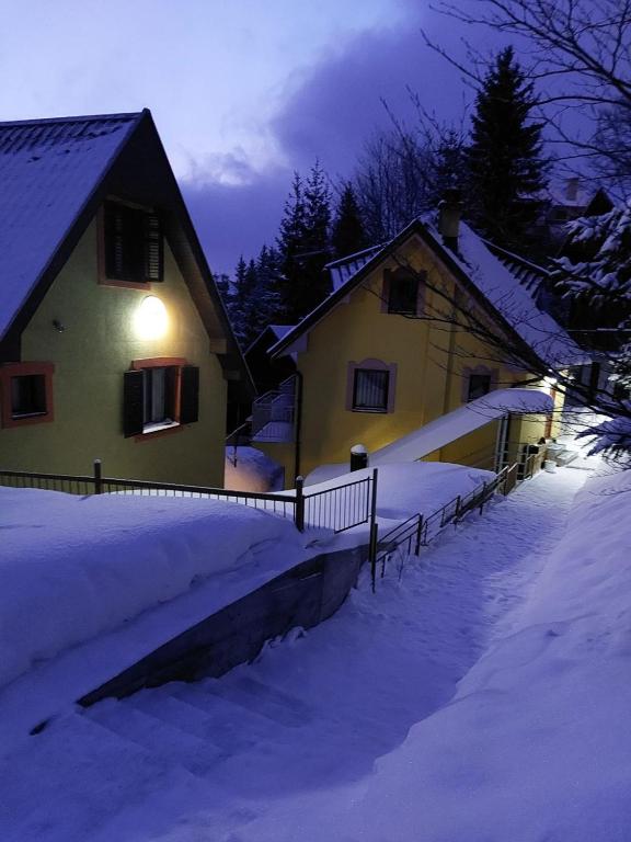 Apartmani Miletic Kopaonik - 2