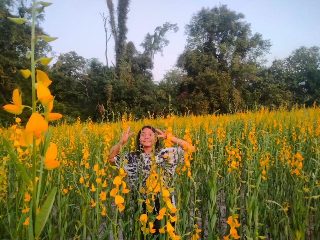 Surrounding environment