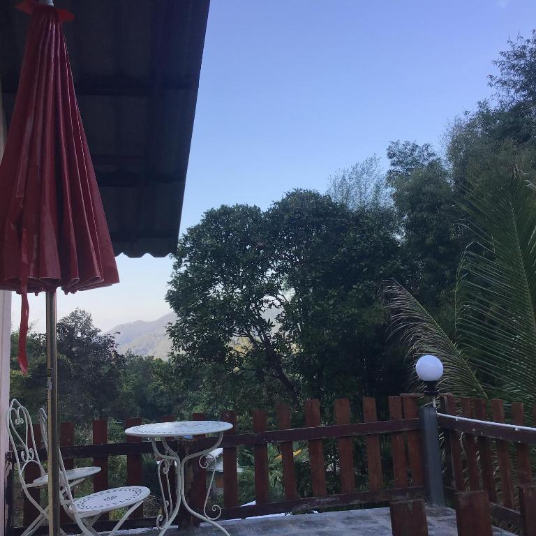 Forest Guesthouse photo