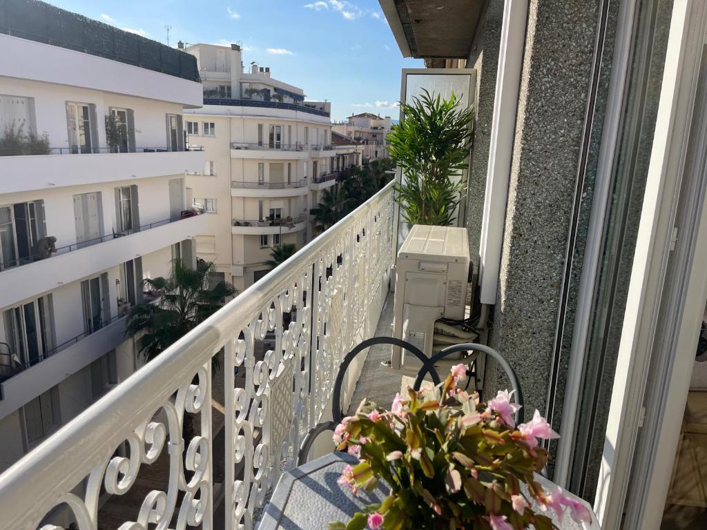 CENTRAL CANNES - 2