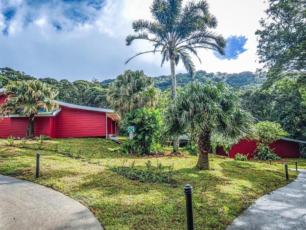 Cloud Forest Lodge by Boena photo