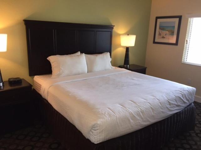 New Hotel Collection Harbourside photo