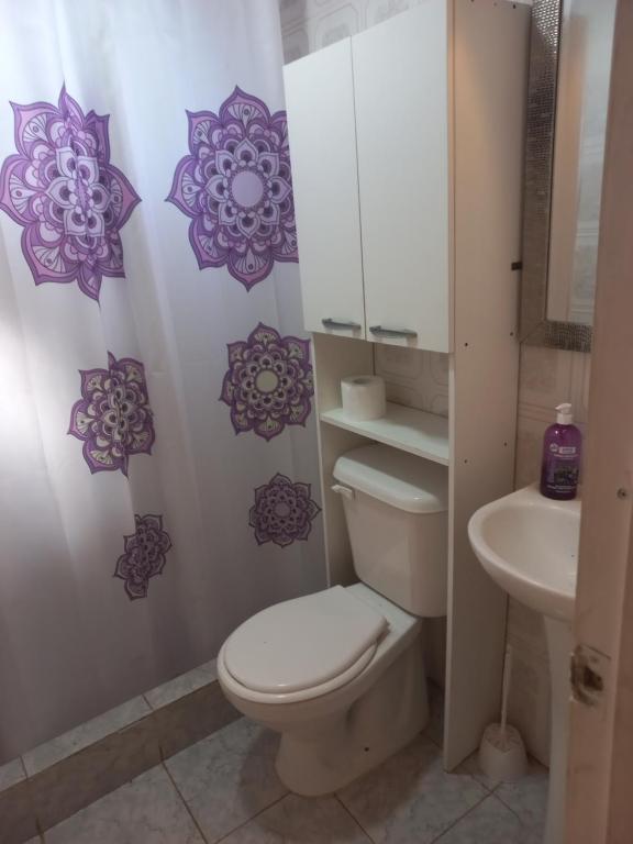 CABAÑA RURAL PICHIDANGUI - 3