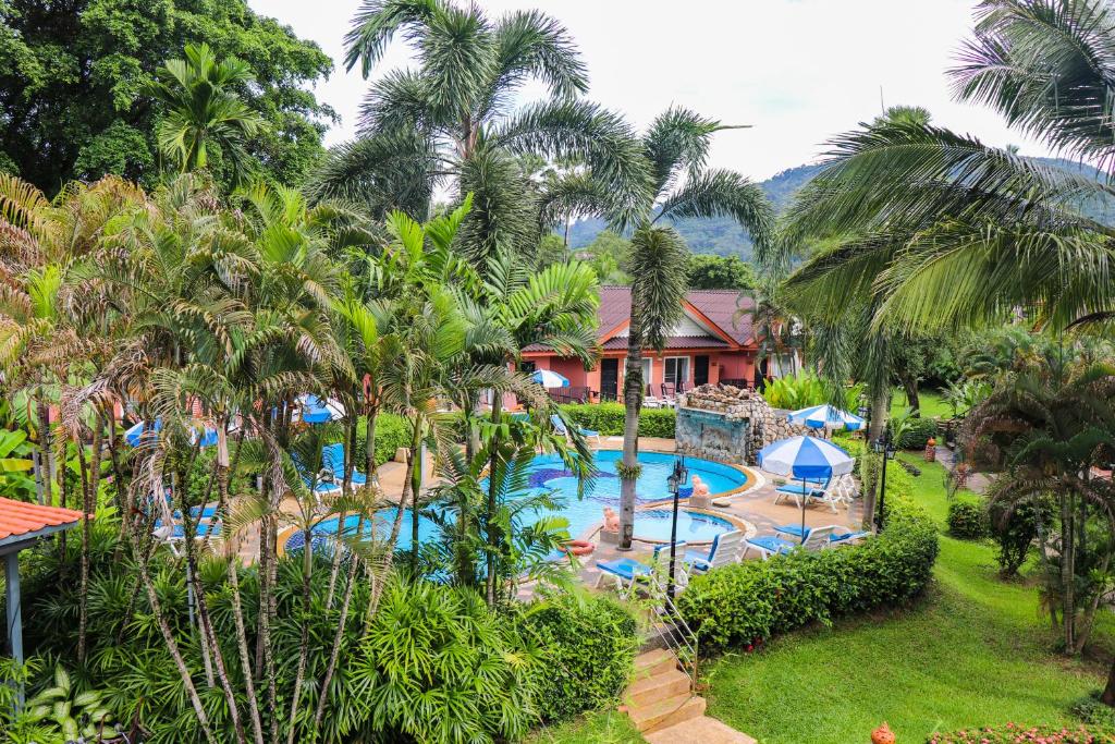 View
