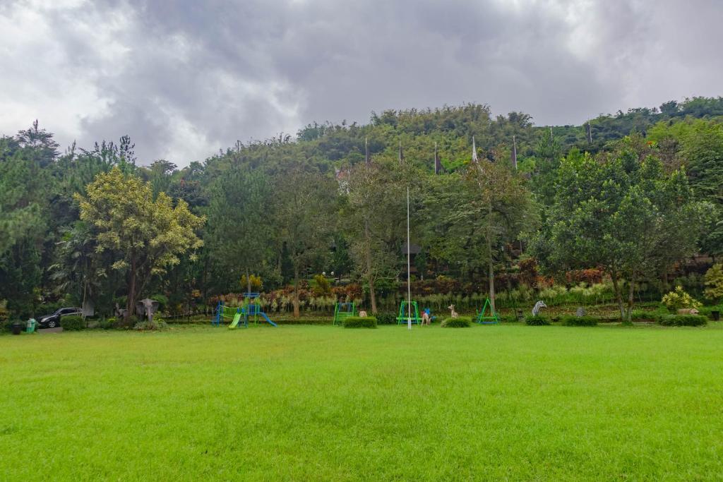 Surrounding environment
