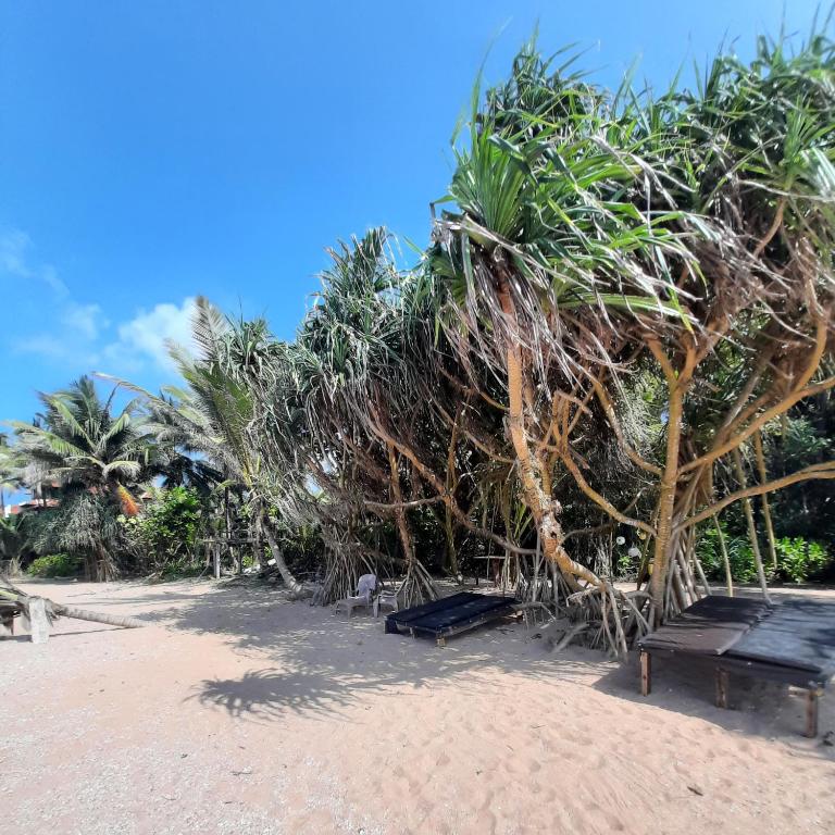 Susee Villa photo