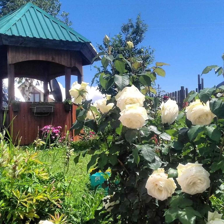 Apartman Jakša - 4