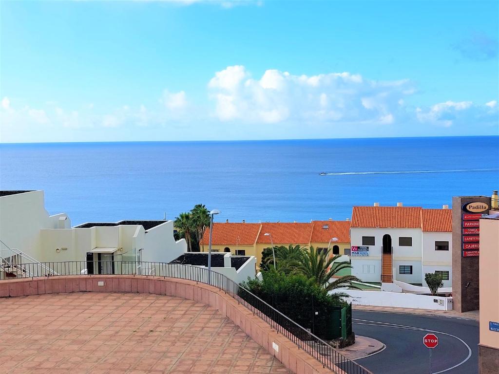 Palmera Azul - 2