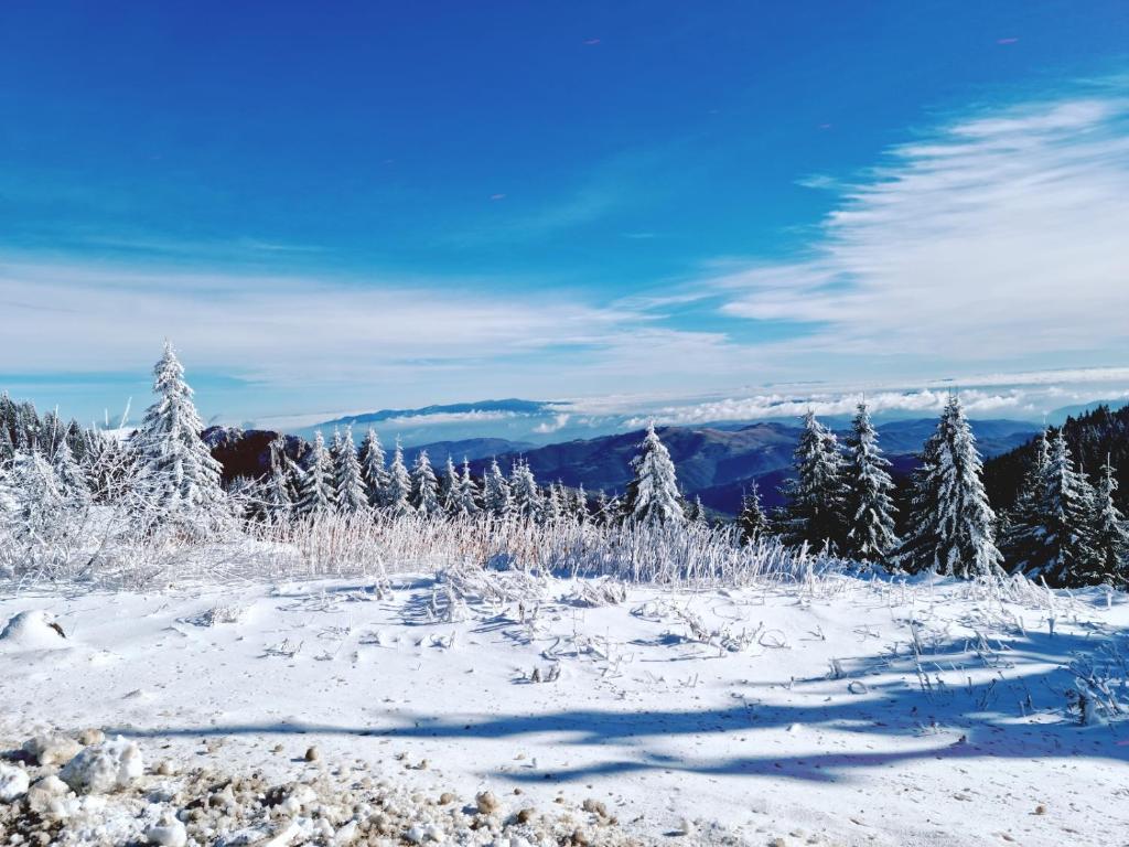 Nest studio Milmari Kopaonik - 2