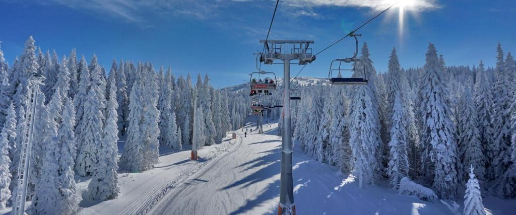 Nest studio Milmari Kopaonik - 3