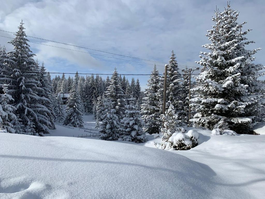 Šumski raj Jahorina - 2