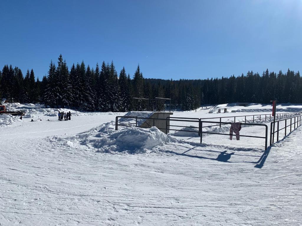 Šumski raj Jahorina - 4