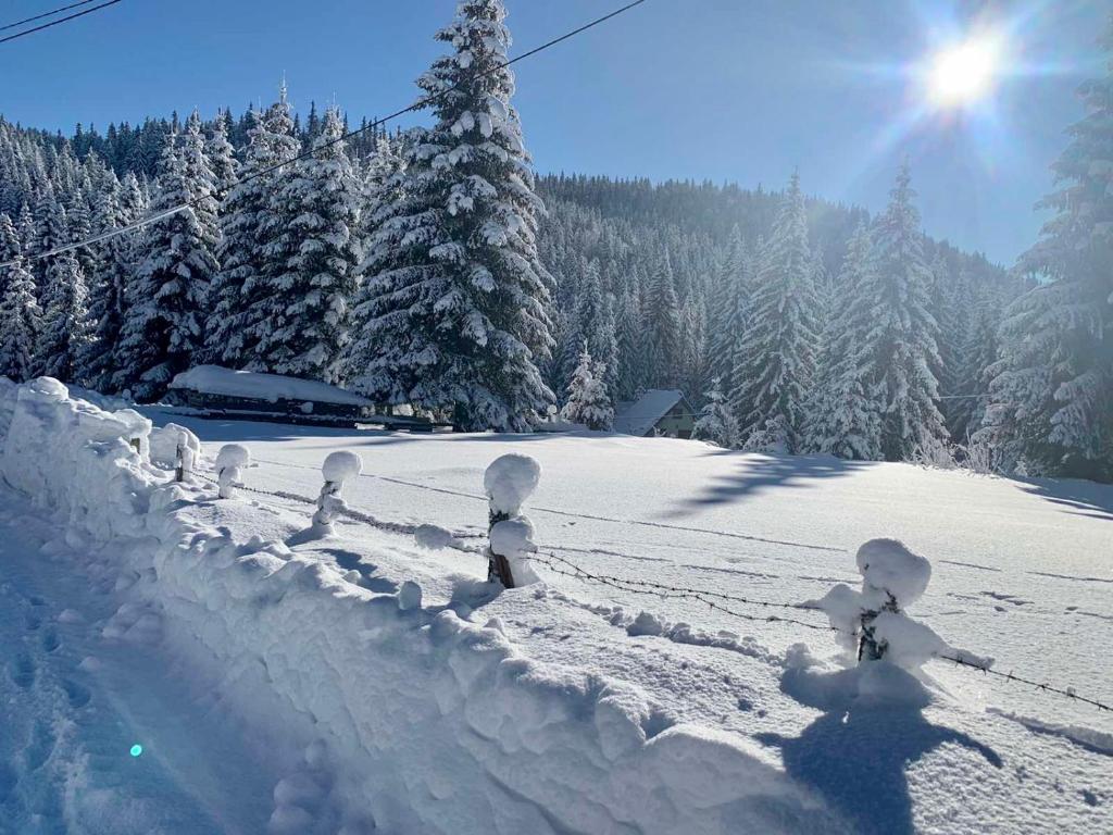 Šumski raj Jahorina - 5