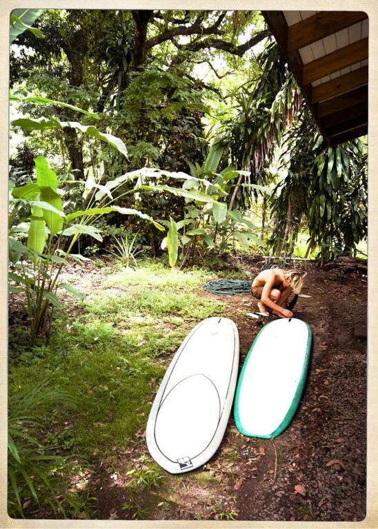 Boho lodge Montezuma l&l photo