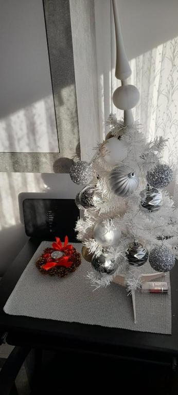 Apartman LELA photo