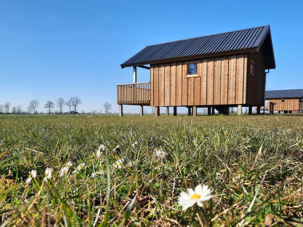 Lodges in Drenthe with Scenic Meadow Views, Ruinerwold