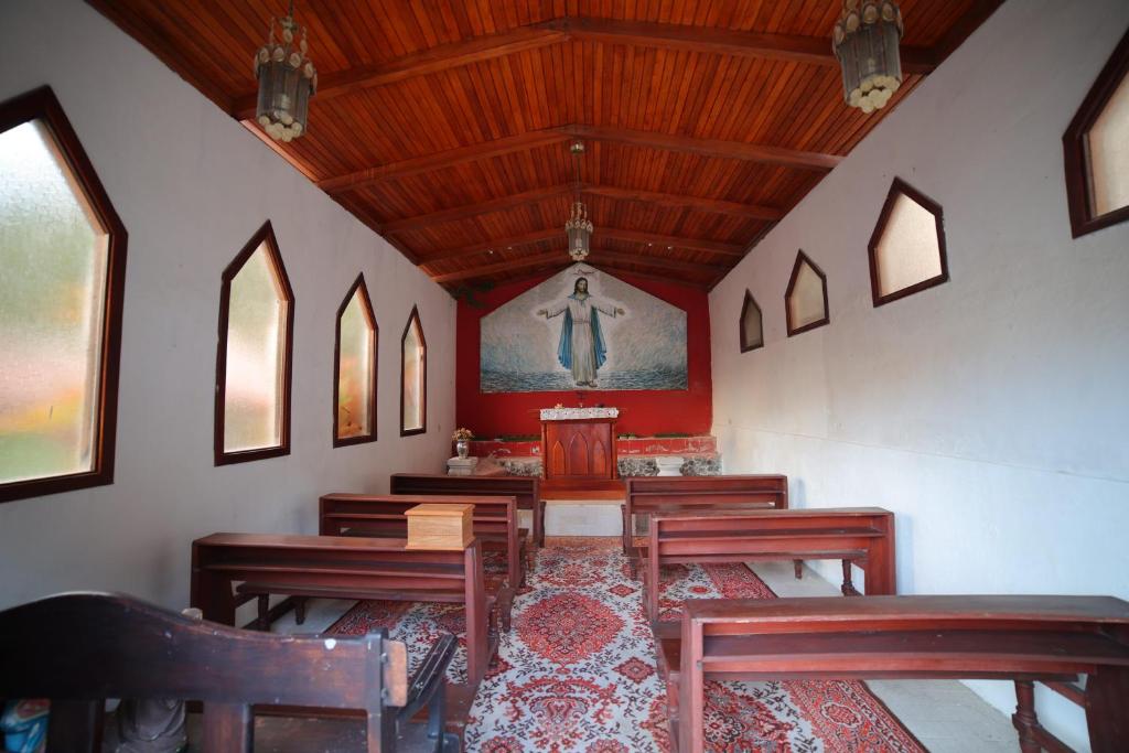 アクティビティ