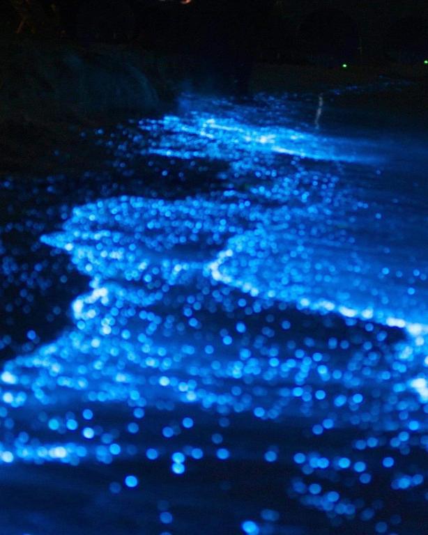 Rashuthere Maldives, Rasdhoo