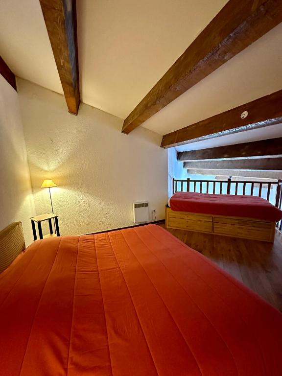 LE MONTAGNARD - 5