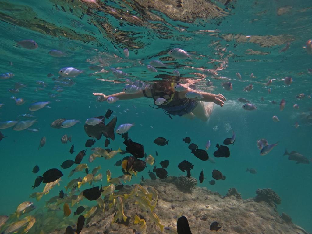 Surrounding environment