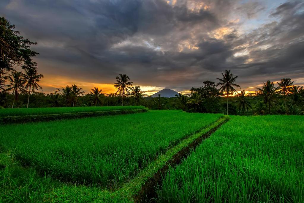 Beautiful natural surroundings