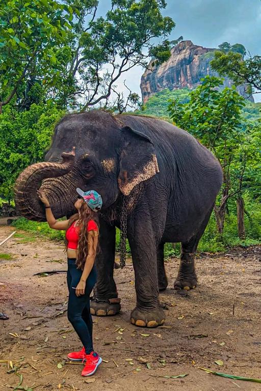 Lakmal Homestay - Sigiriya photo