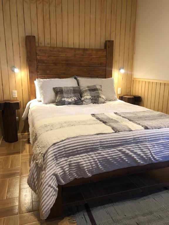 Magellanicus Rustic Suites - 4
