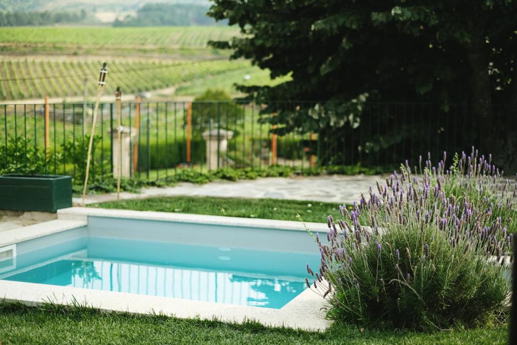 Quinta do Monte Travesso - Country Houses & Winery photo
