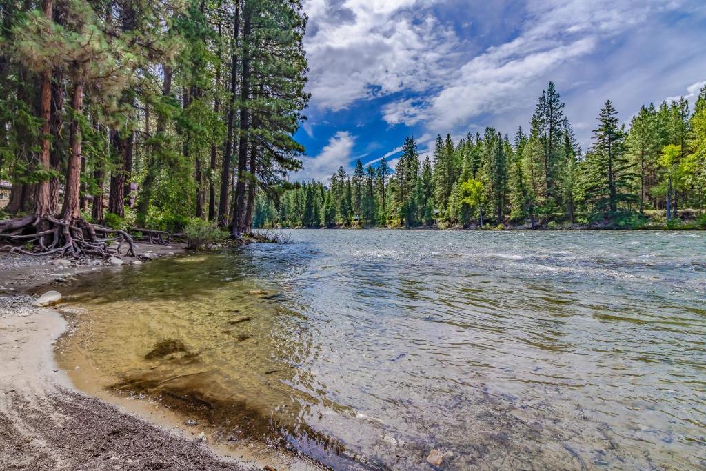Twenty Pines photo
