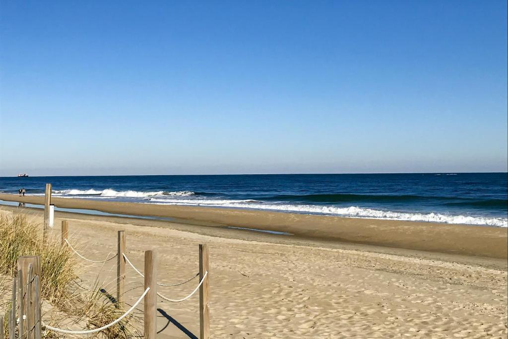 Tradewinds photo