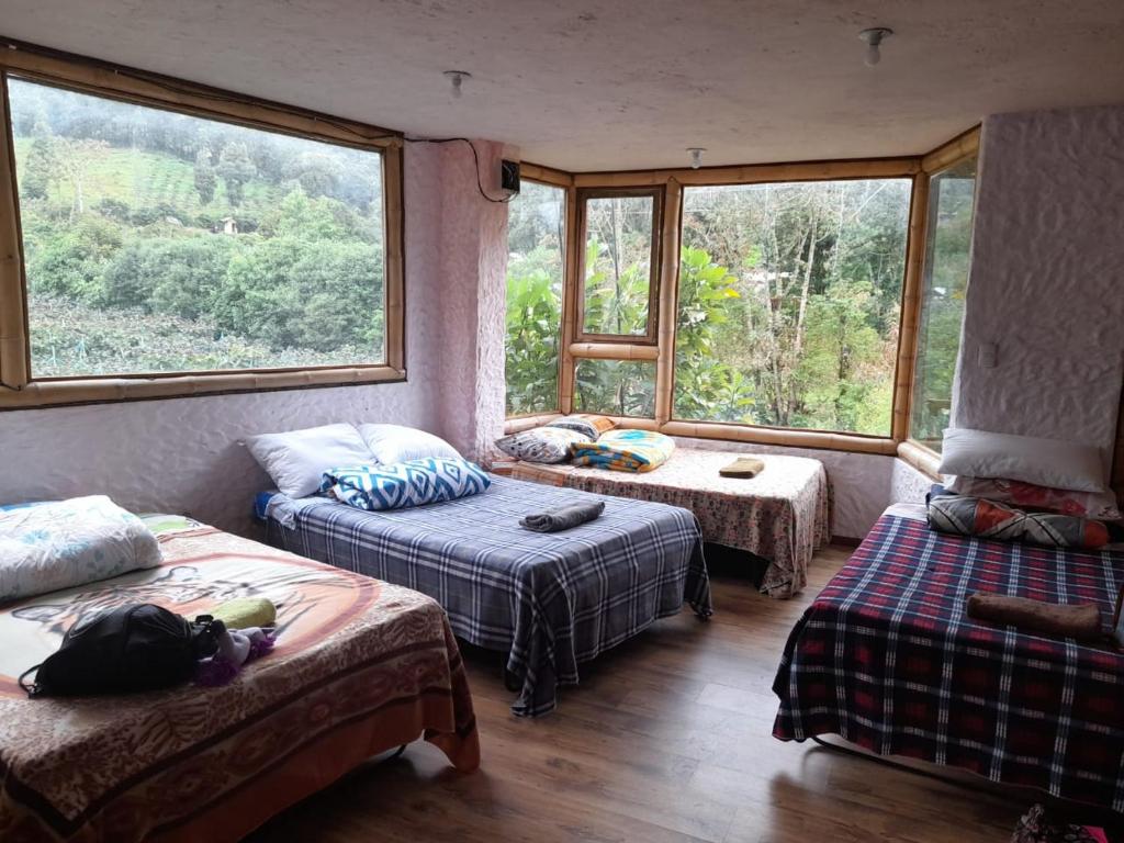 CASA JUANA DE ORO - 3