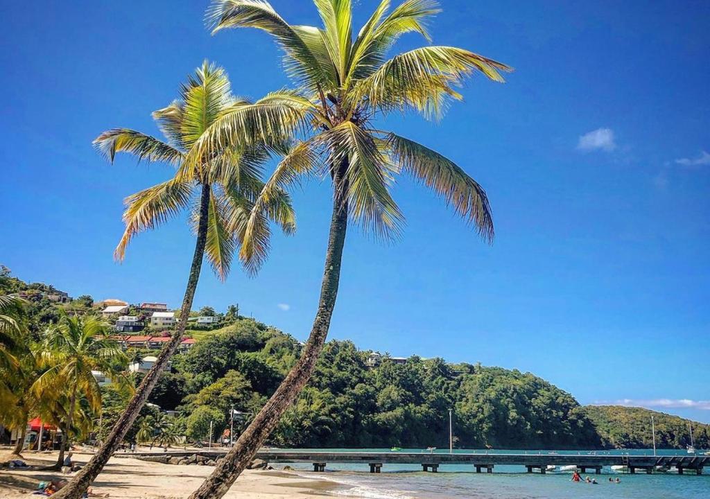 Superbe Appart T2 de standing, à l'Anse à l'âne, à 5mn à pied des plages, Les Trois-Îlets