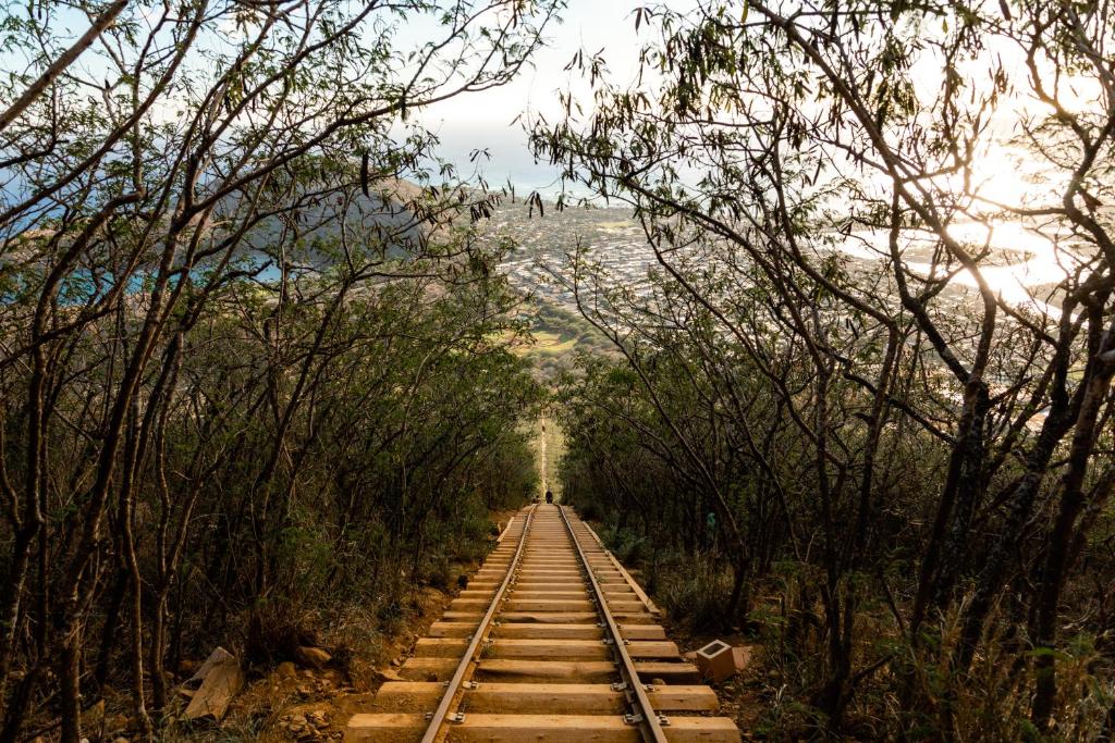 Programlehetőségek