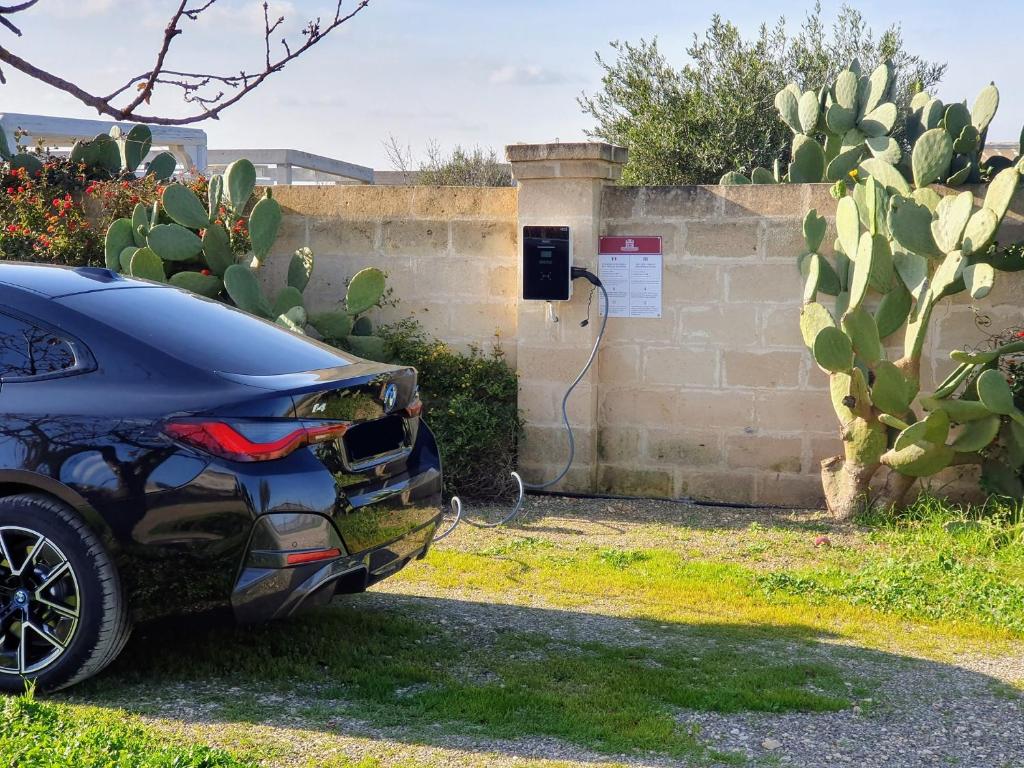 Masseria Agrituristica Lama San Giorgio photo