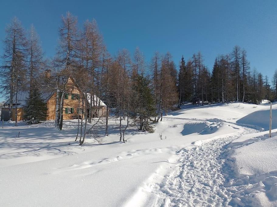 Jagdhütte auf der Tauplitzalm - Selbstversorgerhütte - 2