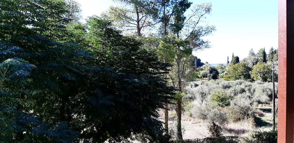 Corfu Country House photo
