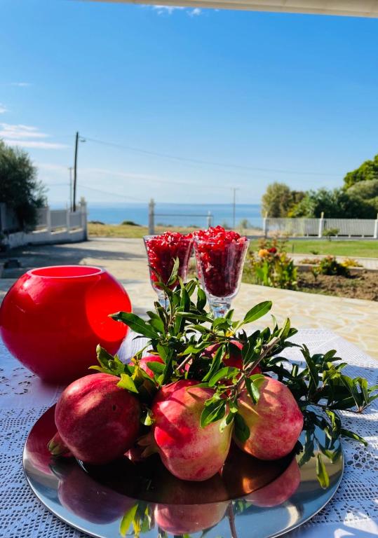 Studio Sofia, Nea Kallikratia