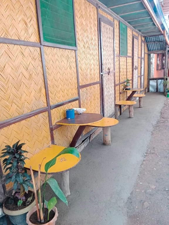 Coron Backpacker Guesthouse photo