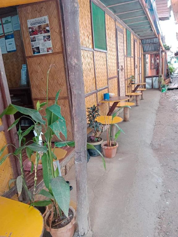 Coron Backpacker Guesthouse photo