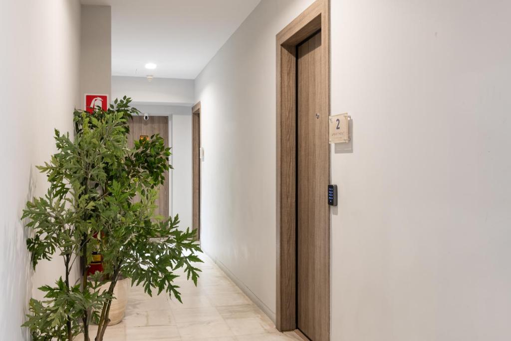 Enattica Syntagma Living photo