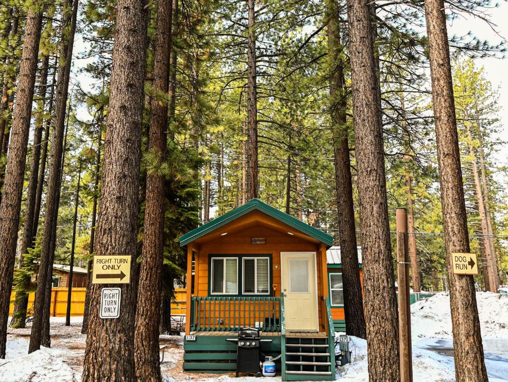 Tahoe Valley Cabin 1 photo