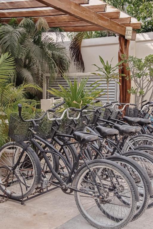 Sports and activities