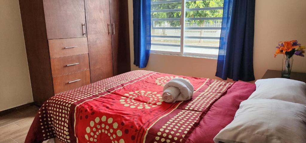 Habitaciones Mimado morelia