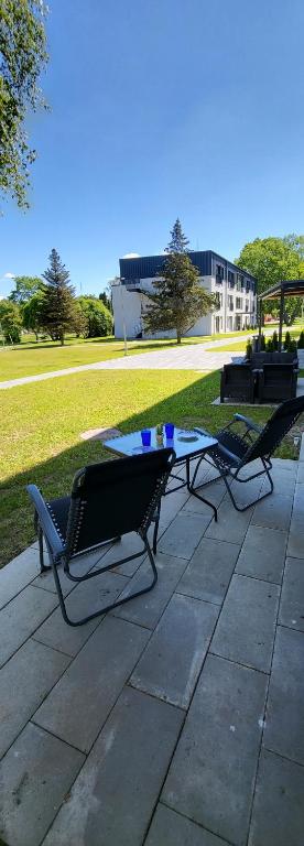 Seaside_albatross, Ķesterciems