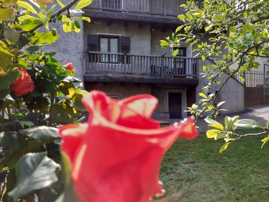 Cà dei Zoani casa vacanze 022139 AT 722787 - 2
