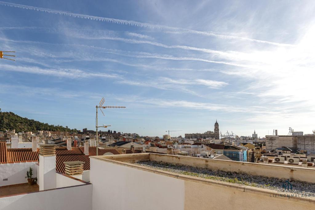 Living4Malaga City Views Terrace - 3