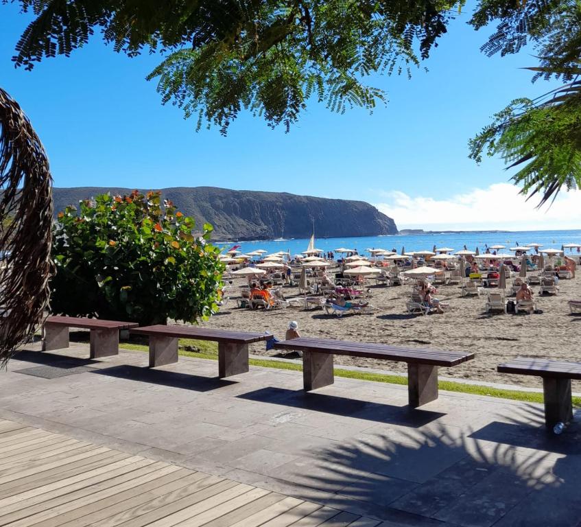 LUXORY DREAMY SUNSET, SeaFront, Direct Access To The Promenade,Wifi,Pool,Free Parking - 5