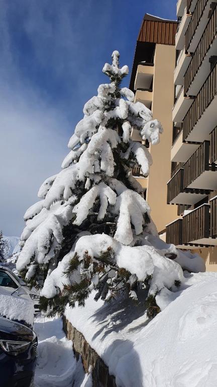 Front de neige Panoramique - 3