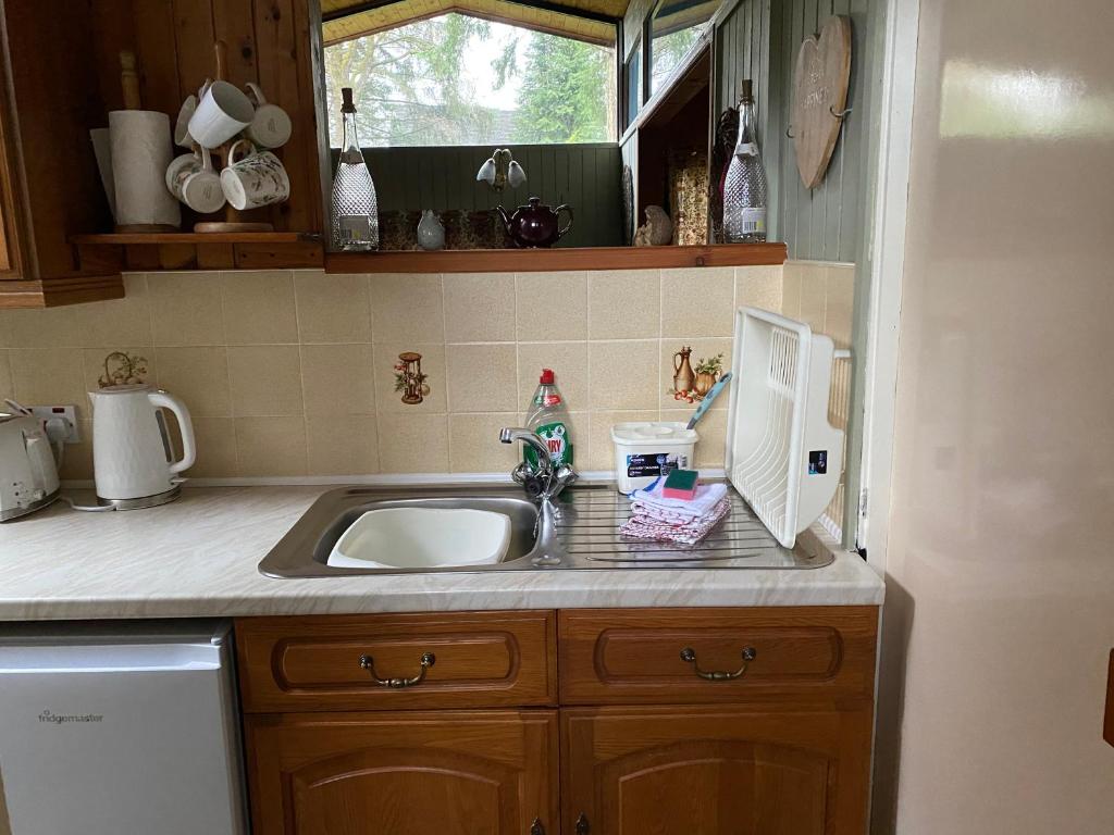 Caban Coetir, Cenarth photo 8