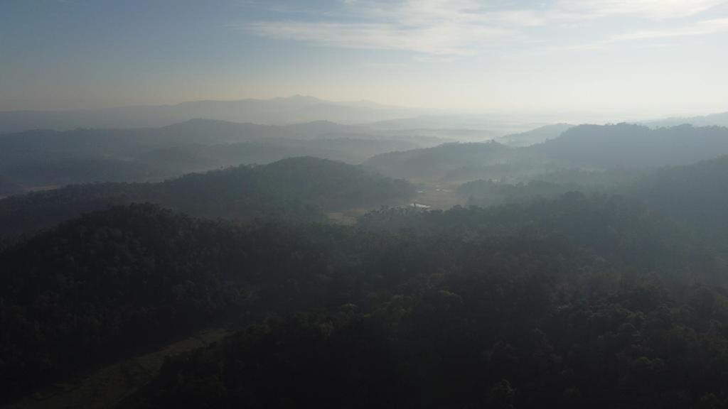 THE RURAL HOMESTAY photo